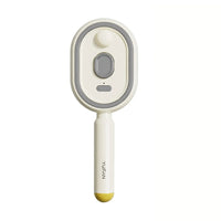 Durable Electric Hair Care Spray Massage Comb